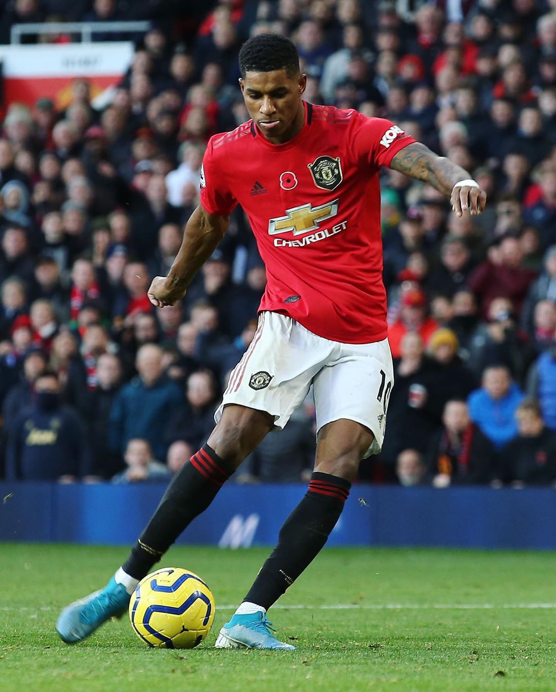 谢菲联对纽卡斯尔比分预测